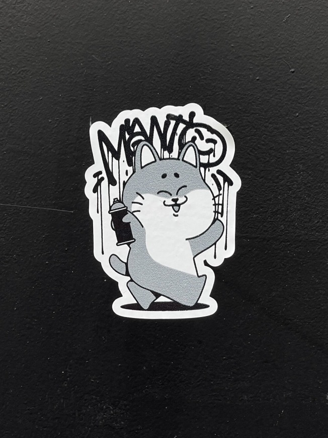 Футболка Manto Debza - White | Фото 5