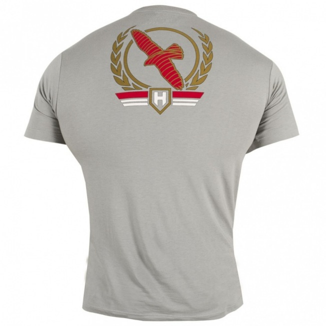 Футболка Hayabusa Falcon Thunder - Grey | Фото 1