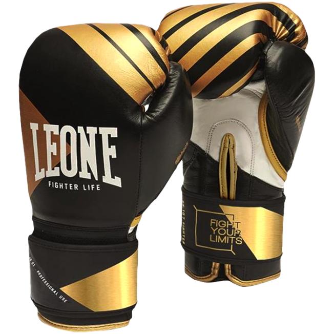 Боксерские перчатки Leone Fighter Premium Black
