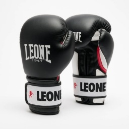 Боксерские перчатки Leone 1947 Stripe 47 GN209 - Black