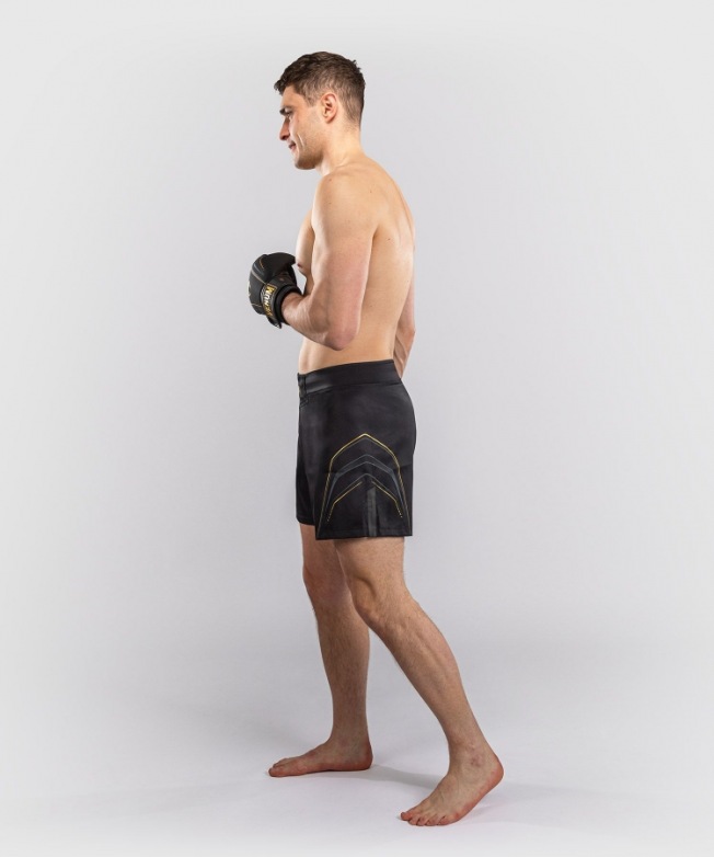 Шорты для единоборств Venum Streamline - Black/Gold | Фото 1