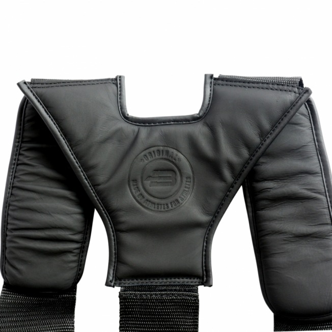 Тренерская защита корпуса BoyBo First Edition | Фото 3