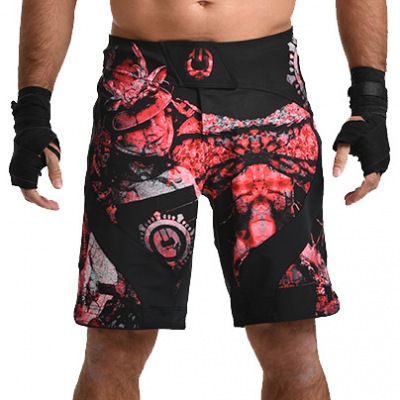 Шорты ММА Grips Samurai Warrior