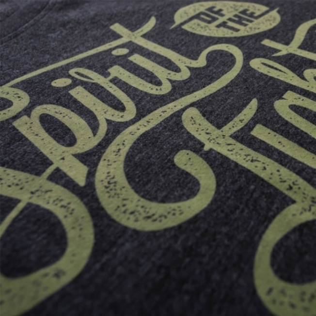 Футболка Hayabusa Classic Spirit Of The Fighter - Black | Фото 1