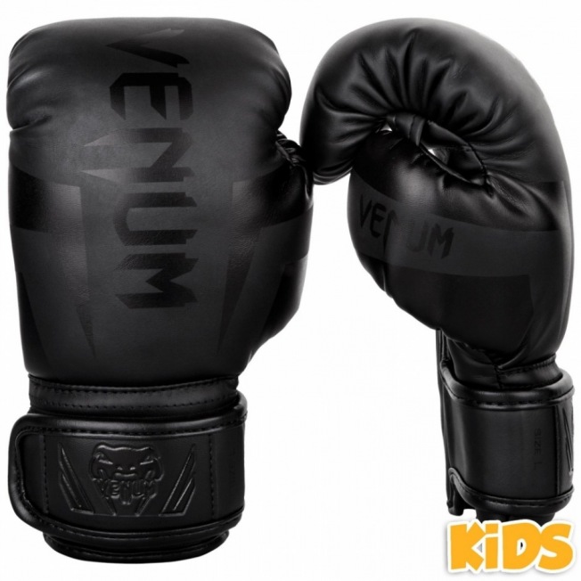 Детские Боксерские Перчатки Venum Elite - Matte/Black