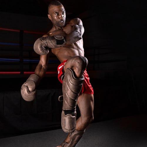 Шингарды Hayabusa T3 Kanpeki | Фото 4