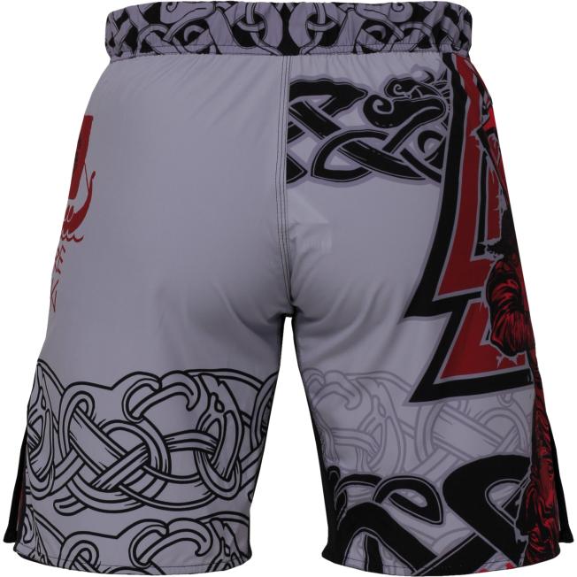 Шорты ММА Hardcore Training Viking 2.0 | Фото 3