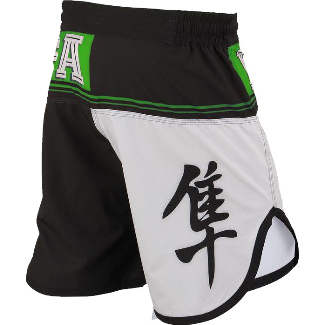 Шорты Hayabusa Flex Factor - Green/Black | Фото 1