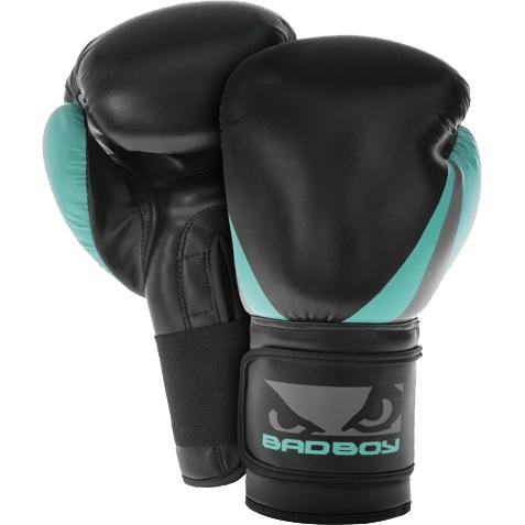 Боксерские перчатки Bad Boy Training Series 2.0