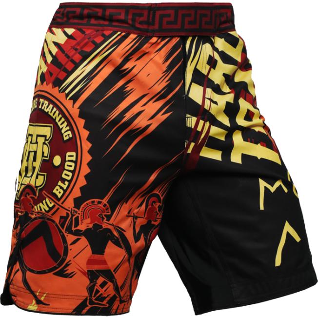 Шорты ММА Hardcore Training Sparta - Black | Фото 1