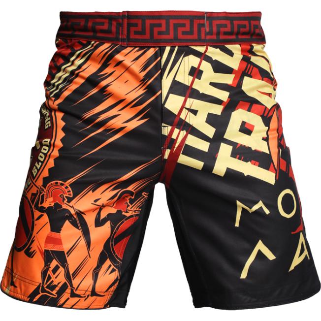 Шорты ММА Hardcore Training Sparta - Black | Фото 2