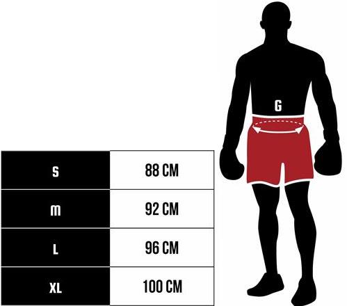 Шорты ММА Leone Japan Memento | Фото 3