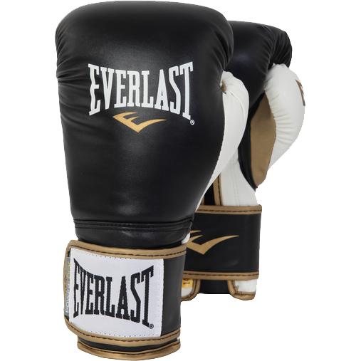 Боксерские Перчатки Everlast - Back/White/Gold