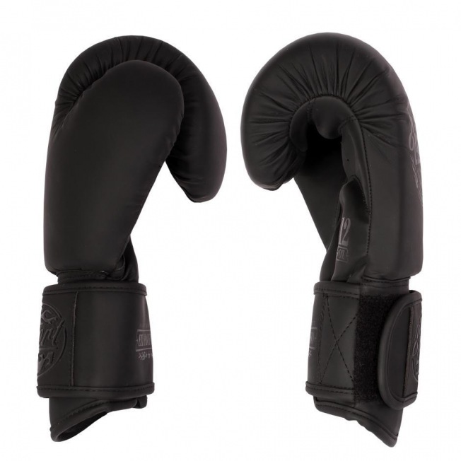 Боксерские перчатки Fight Expert BGS Matte - Black | Фото 2