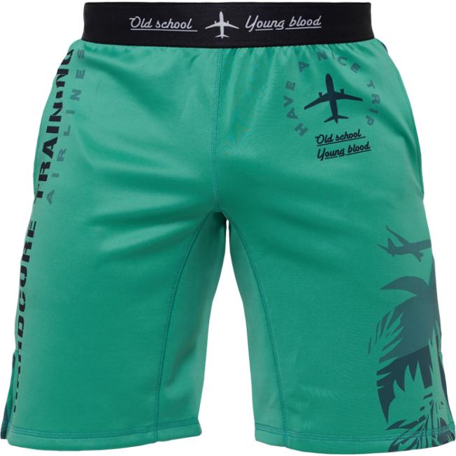 Тренировочные шорты Hardcore Training Voyage - Mint | Фото 2