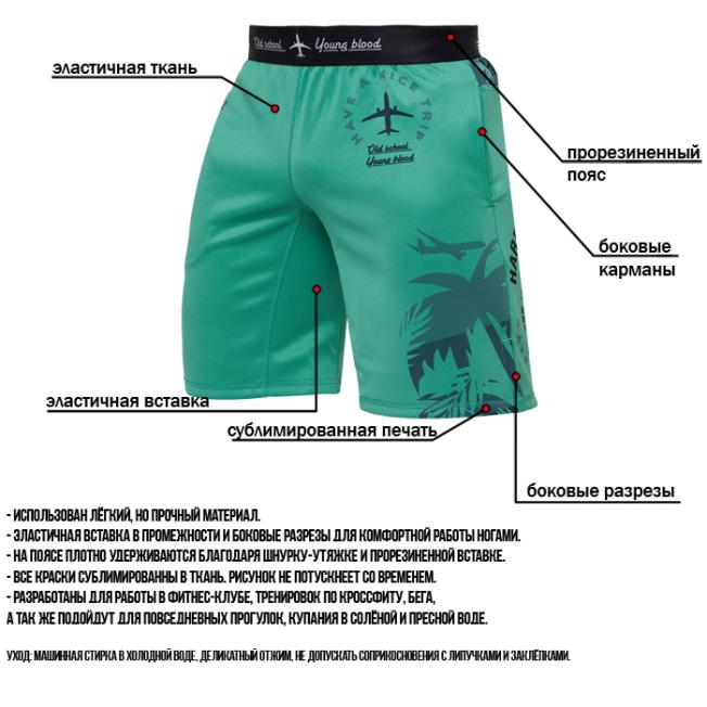 Тренировочные шорты Hardcore Training Voyage - Mint | Фото 7