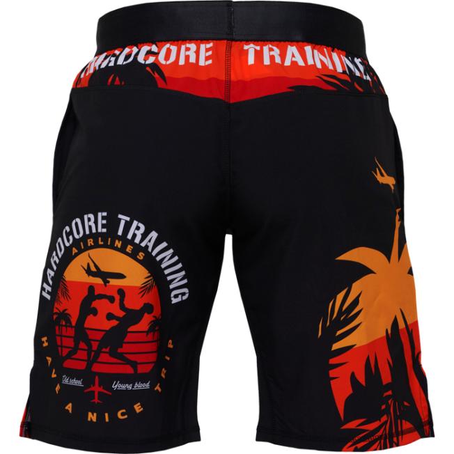 Тренировочные шорты Hardcore Training Voyage - Black | Фото 3