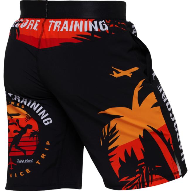 Тренировочные шорты Hardcore Training Voyage - Black | Фото 4